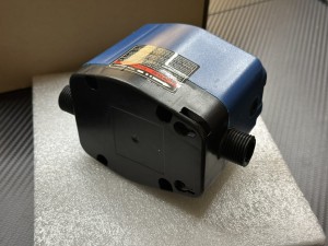 IMG_1206.jpeg