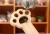 B0FSRL5PW3_4_61vFJ-7XwgL._AC_SL1001__crop1782994400646.jpeg